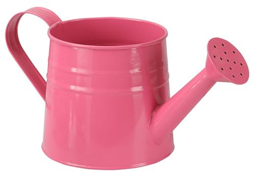 Bemonew Annaffiatoio in metallo, vaso in ferro zincato con beccuccio lungo, graziosa pianta da giardino e da interni, decorazione per casa e ufficio (verde)