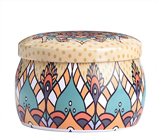 Fdit Scatola portaoggetti in latta Contenitore di latta in metallo con coperchio Scatola da domestica per di gioielli di caramelle al caffè e tè(F)