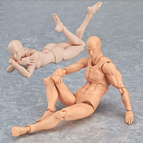 UIGJIOG Figurenzeichnungsmodell Künstlerpuppen Bewegliche Farbe Schaufensterpuppe Obligatorische Puppe Zum Zeichnen Actionfigur Modell Hautfarbe Menschliche Schaufensterpuppe Mann Frau Set
