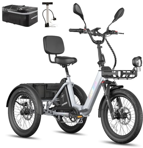 Fafrees F20 Mate E Bike trehjuling för vuxna seniorer Pedelec 25 Ah 48 V [Officiell ] män E-cykel kvinnor, elcykel 3 hjul 65 N.m, elektrisk trehjuling 20 tum, Ebike IPX5 cykel 180 kg