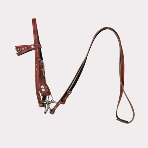Cabezada Western con cuero de vaca - Cabezada para caballos Western - Equipamiento ecuestre - Brida Hobby(red,L)