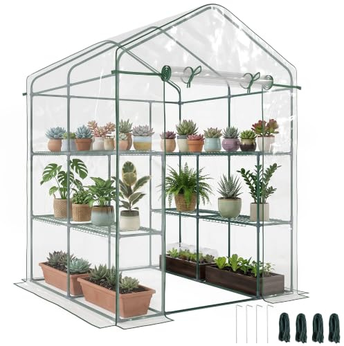 Outsunny Foliengewächshaus begehbar mit 6 Regalen, Stahl PVC, transparent | 143 x 143 x 195 cm, Tomatengewächshaus Treibhaus Frühbeet