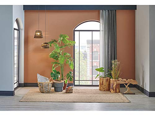 Baocicco 12x8ft Living Room Scene Interior Room Photography Background Plants Carpet Arch French Windows Ceiling Lamp Balcony Photo Backdrop Salon Online Video Background Wedding Birthday Studio
