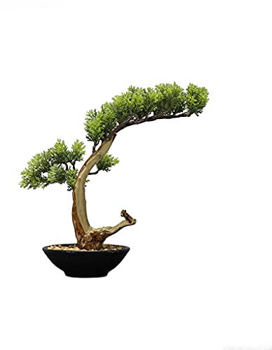 Konstgjord bonsaiträd Konstgjord Thuja Cypress Simulering Grön växt Bonsai Skrivbordsdekorationer för verandastudie Terum Restaurangdekoration 9,8 tum Simulering Bonsaiträd good