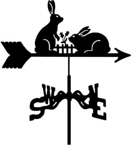 HEIDOUOZ Wind Vane, Wetterfahne aus Metall, Wetterfahne, Wetterhahn aus Metall mit Dachmontage, Windrichtungsanzeiger, Windfahne aus Edelstahl