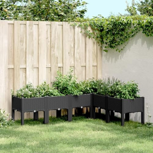 QJBSAVVA Fioriera da Esterno Grande Rialzata con Gambe per Orto e Piante Rampicanti 160x120x42 cm in PP Nero Design Rattan per Giardino Balcone Terrazzo
