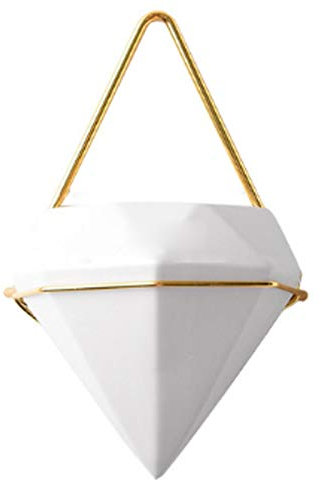 Koomiao Wandvase Keramik/Metall Blumentopf Wand pflanzenwand Für Zimmerpflanzen, Sukkulenten, Luftpflanzen, Kakteen, Kunstpflanzen und Mehr (Golden, L)