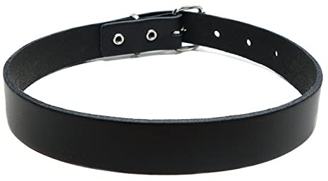 Gletscherlicht Lederhalsband in schwarz mit Schnalle - Leder Halsband aus 100% Echtleder, Choker ohne Nieten, Style: Gothic Punk Rock