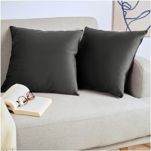 Blumtal 2er Set Kissenbezug 50x50 cm Anthrazit - dekorativer Samt Kissenbezug mit verstecktem Reißverschluss, Kissenhülle für Zierkissen Deko-Kissen Polster Sofakissen & Couchkissen, waschbar