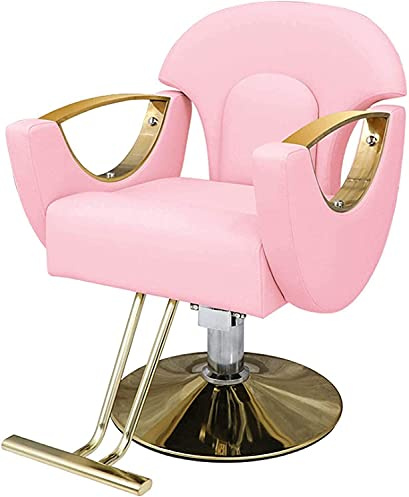 Hydraulic Salon Chair for Business or Home Beauty Styling Swivel Barber Chair with Classic Design Supports up to 420 lbs Black/Pink Color Option