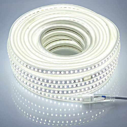 pcning Bande LED 220V Sans Transformateur 20M, SMD 5730 120led/m Ruban LED Chantier Exterieur Etanche IP67 20 metres 6000K Blanc Froid (Blanc Froid, 20M)