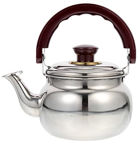 LeGDOr Tetera de Acero Inoxidable Tetera Decorativa pequeña Tetera Vintage Tetera para café Tetera Vintage Teteras Teteras para Estufa Teteras de té Hervidor eléctrico Viaje Metal