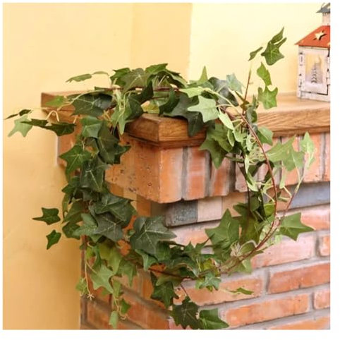 TUKRPQMRI 1,8 mètres de simulation de plante de lierre fixée au mur, vigne verte, décoration pastorale, branche, décoration florale, vigne suspendue/285