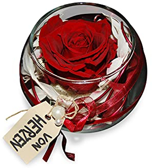 BEIJA FLOR Handgefertigte konservierte Rose im Glas - Echte Ewige Rose - 3 Jahre haltbar - stilvolle Dekoration mit Infinity Rose - Geschenk für jeden Anlass – Made in Germany (Bordeaux)