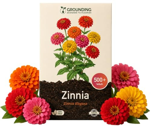 Grounding - Semillas de Zinnia Elegans “Zinnita Mix”, 350+ semillas - Flores globosas compactas multicolor (~20 cm) para macetas, jardineras y parterres - Calidad Europea