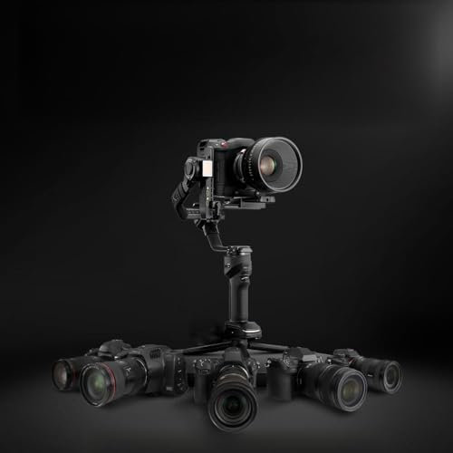 Delaman Handheldcamerastabilizer CRANE 4 Stabilisateur de cardan de caméra portable à 3 axes, capacité de charge de 6 kg, lumière LED 10 W intégrée, batterie de charge rapide PD, comprend un mini