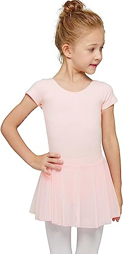 MdnMd Toddler Dance Ballet Leotards for Girls Classic Short Sleeve Tutu Skirt Tights (Ballet Pink, Age 2-4 / 2t,3t)