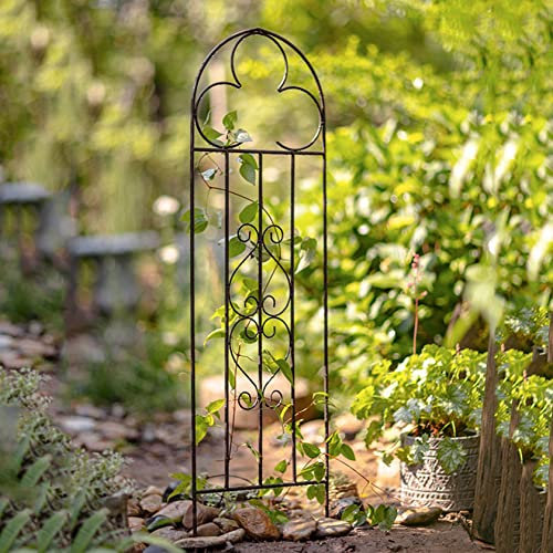 ZYFA Rankgitter Metall Rankhilfe für Pflanzen,Rosen,Rankhilfe Kletterhilfe Rankzaun Rosengitter Beetzaun Beeteinfassung Spalier Garten Pflanzengitter Gartendeko (Size : Large)