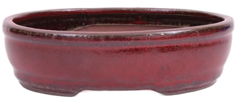 generisch Bonsai - Schale oval 21 x 16.5 x 6 cm Bordeaux 22123