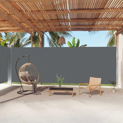 Mokuyary Toldo lateral extensible, color antracita, 220 x 1000 cm, vista lateral, extensible, protección solar para balcón y terraza