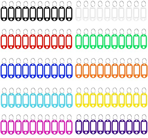 100 Stück Schlüsselanhänger – 10 Farben, Kunststoff Schlüsselanhänger Beschriftbar Schlüsselschilder mit Schlüsselringen Key Label zum Schlüssel Koffern Haustieren Markieren