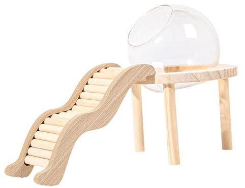 Fonowx Hamster Sandbad, Transparentes Glas Sandbad mit Holzleiter, S