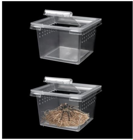 Faunarium Insektenbox 10 Packungen Insekten Spinne Terrarien Zucht Box Schraffur Container Schnecken Terrarium