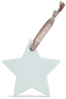 Ceramic Star Natural Essential Oil Diffuser, White Decorative Home Fragrance Ornament, Aromatherapy Scent Dispenser