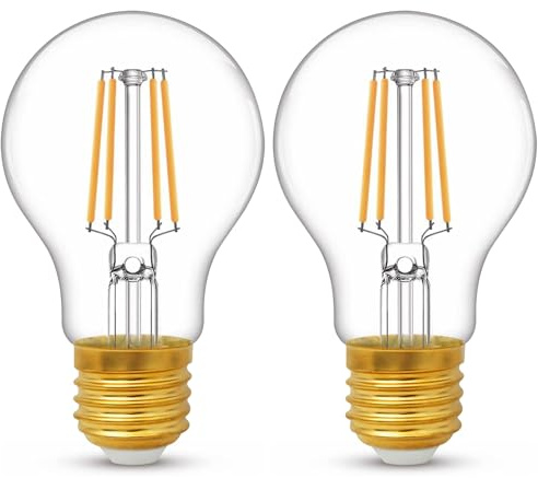 YUNRRD E27 Screw LED Edison Bulb,Warm White 2700K E27 Light Bulb,Pack of 2 | Energy Saving Screw in Light Bulb,A60 Clear ES LED Filament Bulbs,600 Lumen,220-240V,Non-Dimmable
