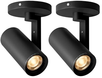 Aisilan 12W LED Zoomable Ceiling Spotlight, Dimmable Surface Mount Adjustable 10°-55° Beam, CRI97 3000K Warm White, Flicker-Free Accent Light for Pictures on Wall, Living Room, Hallway, Black 2 Packs
