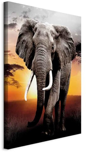 murando - Leinwandbild Elefant Afrika, 80x120 cm, 1-teilig, Schlafzimmer | Hochwertige Leinwand, sofort aufhängbar, ideal fürs Wohn- oder Schlafzimmer, wasserfest und lichtecht, langlebig, stilvoll