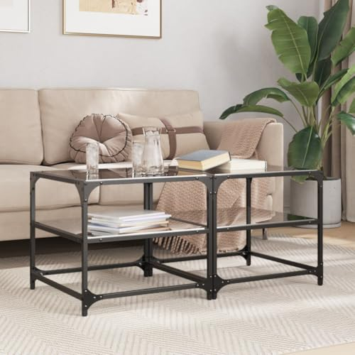 Baziroo Lot de 2 tables basses avec plateau en verre - 50 x 50 x 45 cm - Table de salon - Petite salle d'attente - Table d'appoint - Table d'appoint - Table de téléphone - Matériaux du bois et acier