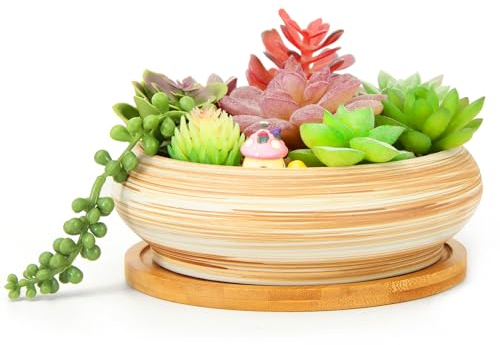 ARTKETTY Succulent Plant Pots - 18.5CM Large Bonsai Pot with Drainage Tray, Shallow Succulent Planters for Indoor Plants Decorative Flower Cactus Planter Bowl