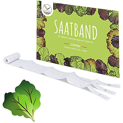 5m Saatband Salat Mix Samen (Lactuca sativa var. crispa) - Knackig, frischer Pflücksalat ideal für die Anzucht im Garten, Balkonkasten & Gemüsebeet