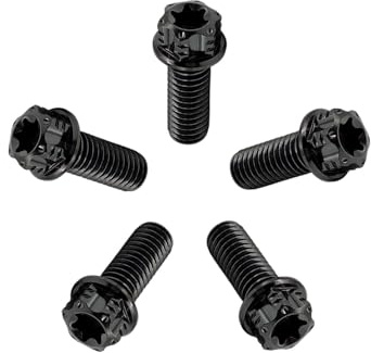 RISON-Titanium Titanschrauben M10x1.25x30mm, 5 Stück Flanschschraube Torx Kopf Flansch Schrauben Sechskantschrauben Gewindeschrauben GR5 Titanbolzen Befestigungen für Motorräder Fahrrad Auto