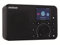Universum IR 200-21 Radio Internet de Poche Internet Bluetooth, Radio Internet, SD, WiFi Rechargeable Noir