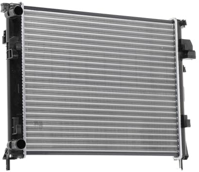 RIDEX 470R0261 Radiateur du moteur Compatible avec OPEL Vivaro A Van X83