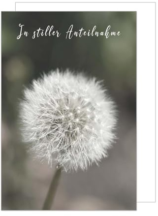 Edition Seidel Premium Trauerkarte mit Umschlag. Beileidskarte Trauer Karte In stiller Anteilnahme Mitgefühl Blume Pusteblume (T1149 SW024)