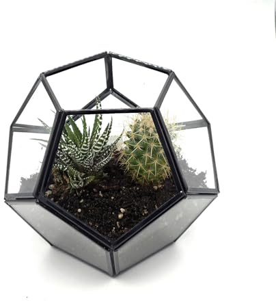 Black Geometric Glass Terrarium Planter – Dodecahedron Indoor Plant Pot – Modern Metal Frame Succulent & Cactus Planter – Decorative Tabletop Plant Gift (16 x 18cm)