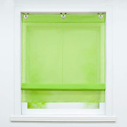 Joyswahl Voile Raffrollo mit Hakenaufhängung, ohne Bohren »Hanna« Schals Fenster Unifarbige Vorhänge BxH 80x130cm Grün 1er Pack