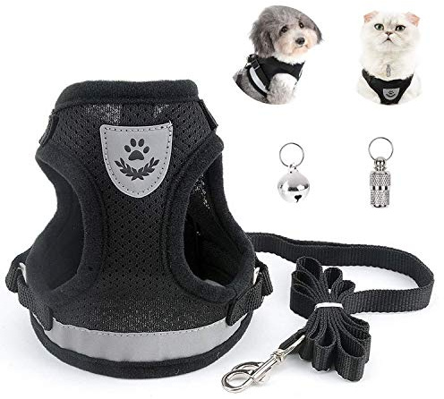 BOJLY Kattsele med koppel splittersäker, kattkoppel med rätter för katter, säkerhetsporslin hund utbrottssäker, miti anti-förlorade klockor och adressetiketter för hundar och katter, S