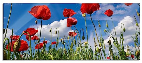 Pixxprint Glasbild Panorama, Wandbild aus Echtglas, Wiese mit Blumen, 100x40 cm, inkl. Aufhängung und Abstandshalter