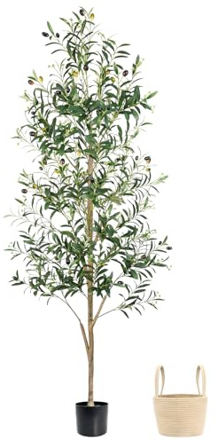 Caxchiling Faux Olive Tree 6FT, Artificial Potted Tree with Planter, Silk Plants Indoor Outdoor, Lifelike Olive Plants with Natural Wood Trunk, Fruits and Buds, Home Office Decor, 1 Pack