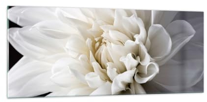 Panorama Bilder auf Glas 100x40cm Glasbild Blume Dahlie Natur Groß Wanddeko Bild im Glas Schlafzimmer Küche Wandbilder Dekoration Wohnzimmer Modern Wall Decor Wand Kunstdruck Art GAB100x40-5229