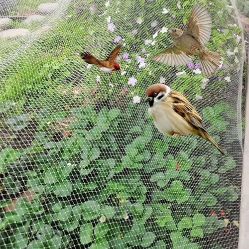 Vogelschutznetz Vogelschutznetz für Hochbeete, Weiße Nylon-Pflanzenabdeckungen für Heidelbeersträucher, Gemüse Und Obst, Spalierzaun - 10/15/ 20/25/ 30/35 /40 M(30x20m/98x66ft)