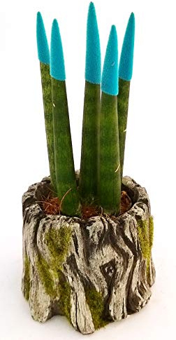 POWERS TO FLOWERS - SANSEVERIA CILINDRICA COLOR LIFE AZZURRO MINI IN VASO CERAMICA TRONCO, pianta vera