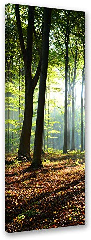 Feeby Wandbild Herbst Druckbild Leinwandbild Wald Braun 40x120 cm