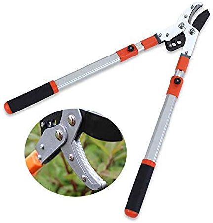 RONGJJ Astschere, Teleskop Amboss Garden Tree Loppers Einfacher Schnitt Für Gartenarbeiten In Secateur-Qualität - Hochleistungs-Ratschen-Lopper Ausziehbar 66-101 cm