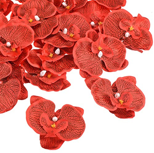 PATIKIL 3.5 Artificiale Orchidea Fiore Teste 20pz Seta Phalaenopsis Finta Farfalla Orchidea Teste per Matrimonio Floreale Bouquet Decoro Fai da te Artigianato Realizzare Rosso