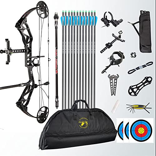 HNZMDY Bogenschießen Compound Bogen und Pfeil Kit 19-70Lbs Wettkampf Sport Jagdbogen 19-30 Auszugslänge 320fps Speed Compoundbögen mit Allem Zubehör für Erwachsene und Jugendliche (Schwarz)